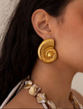 Sea shell earrings