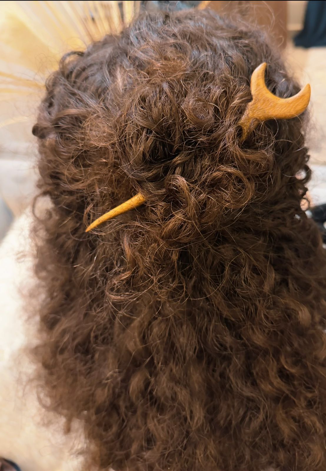 Twilight Hair pin